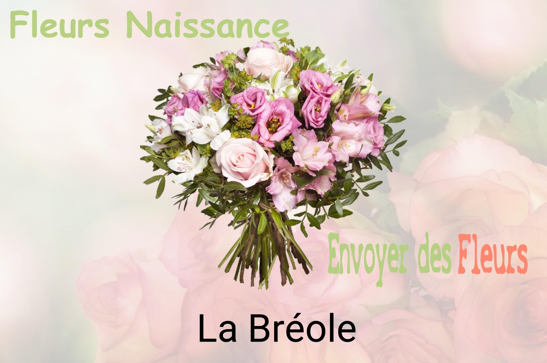 Bouquet de fleurs de naissance livré à La Bréole