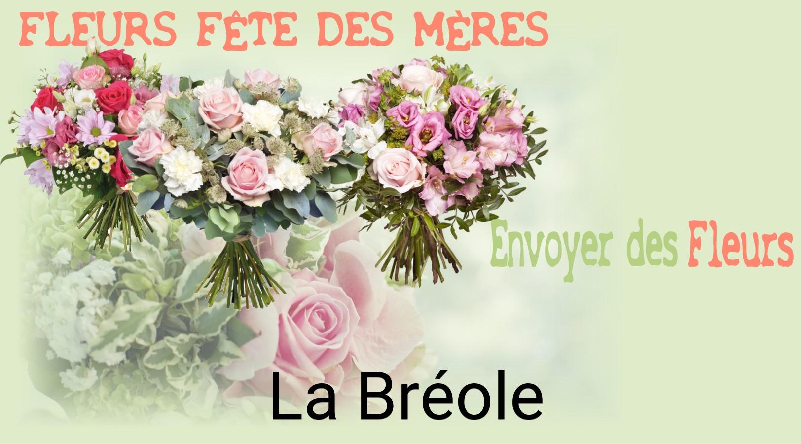 Bouquet de Fête des Mères livré à La Bréole